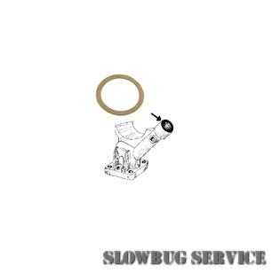 SlowBugService
