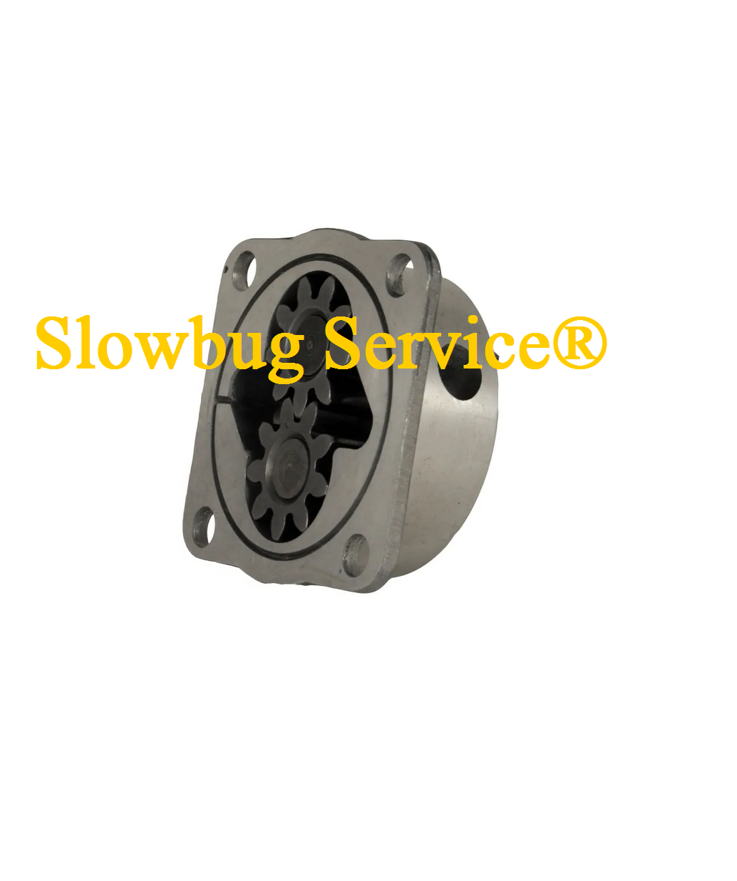 SlowBugService