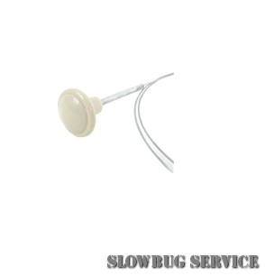 SlowBugService