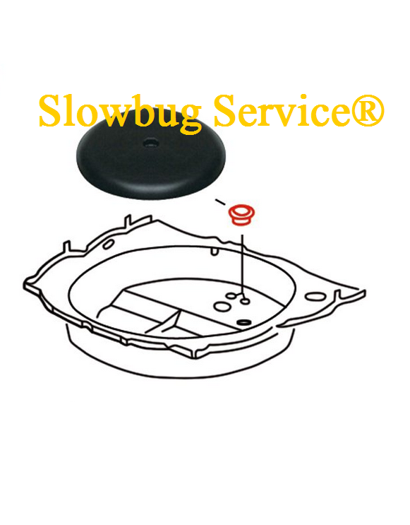 SlowBugService