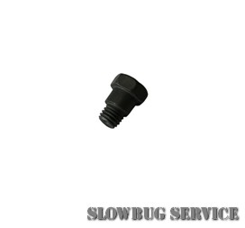 SlowBugService