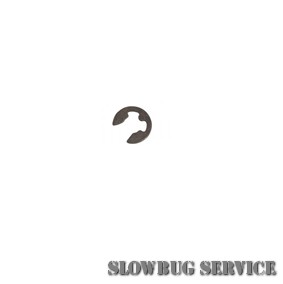 SlowBugService