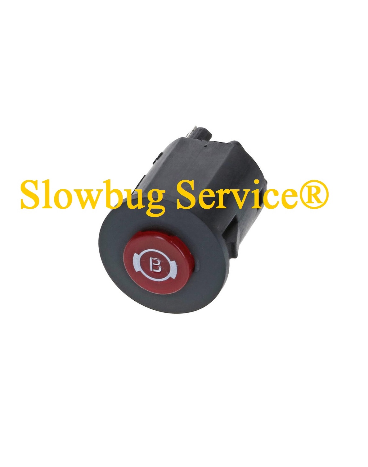 SlowBugService