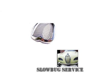 SlowBugService
