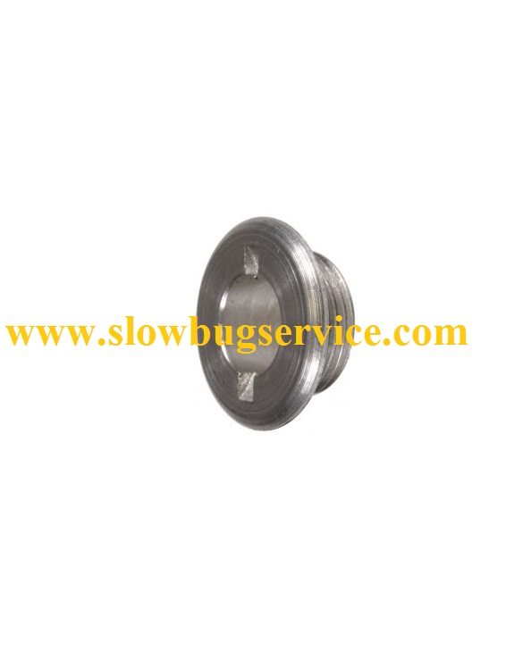 SlowBugService