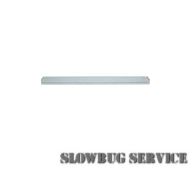 SlowBugService