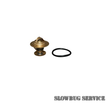 SlowBugService
