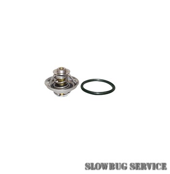 SlowBugService