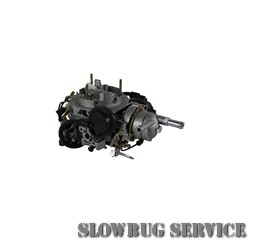 SlowBugService