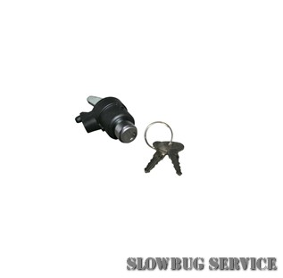 SlowBugService