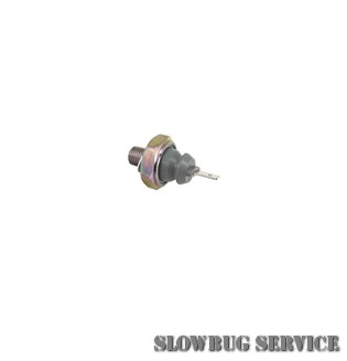 SlowBugService