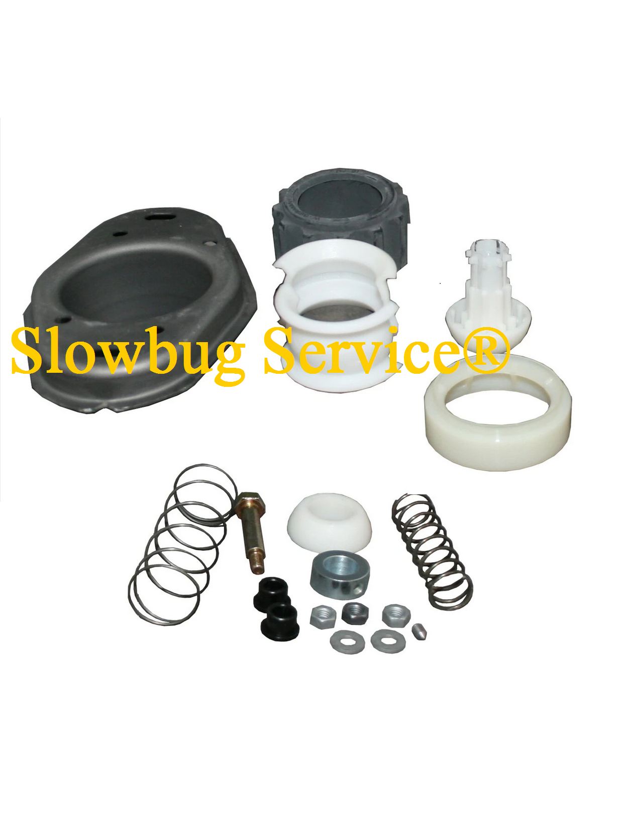 SlowBugService